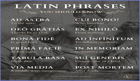 A Profile Of A Latin Beauty